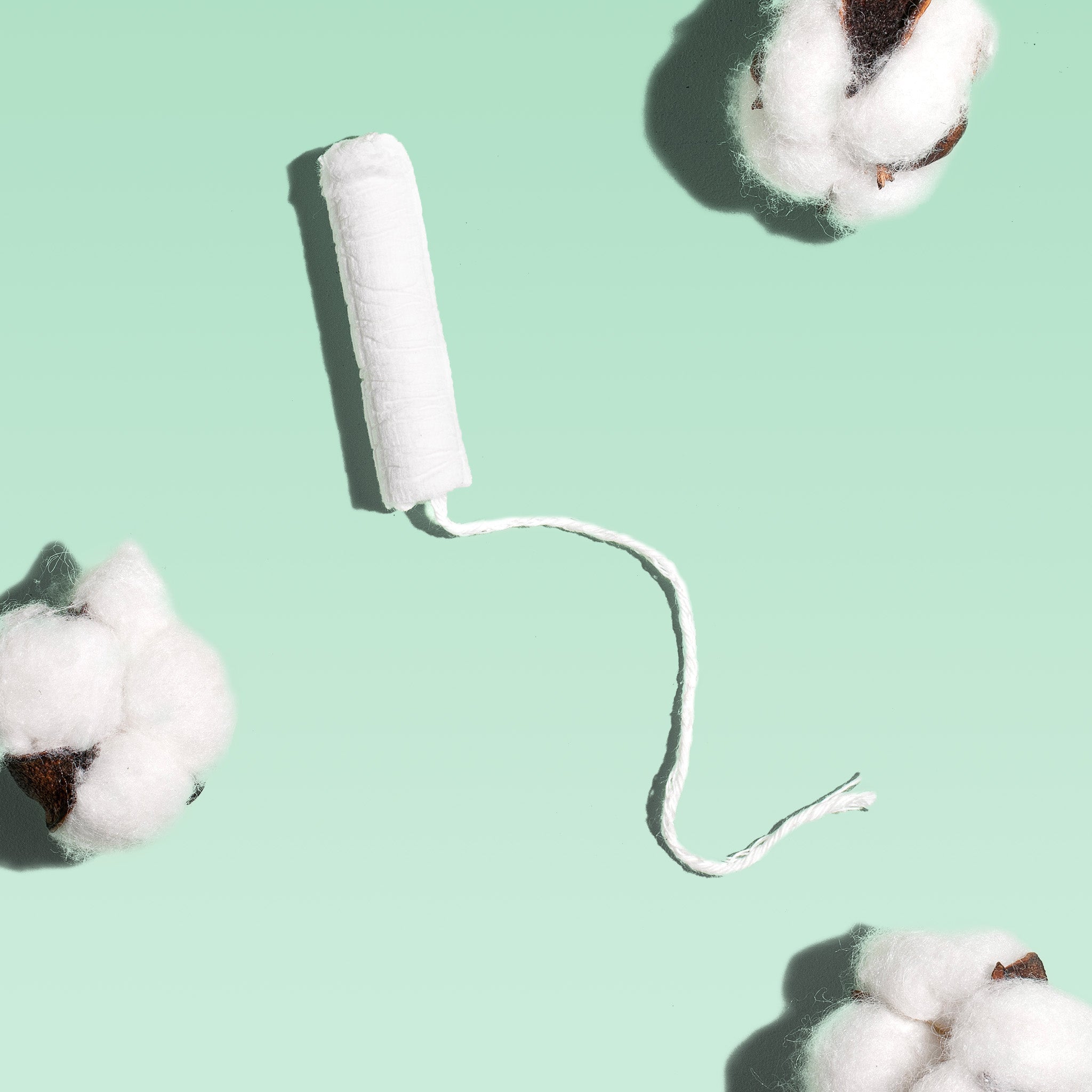 Super Cardboard Applicator Tampons Made With Organic Cotton